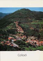 Collodi